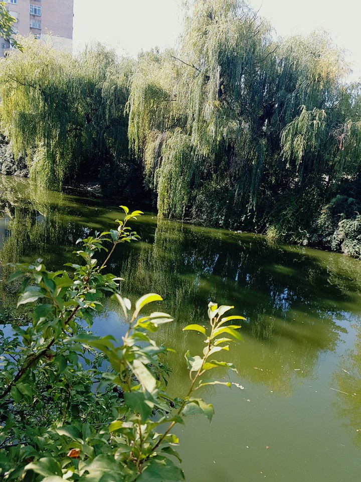 river