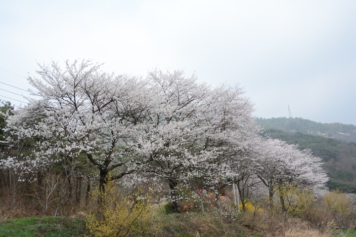 풍경이미지