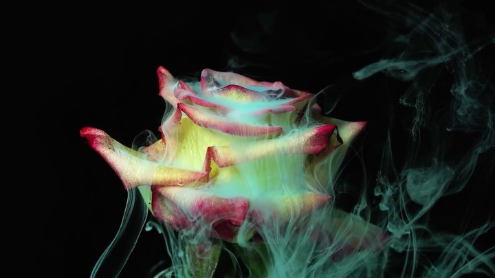 flower \ dust