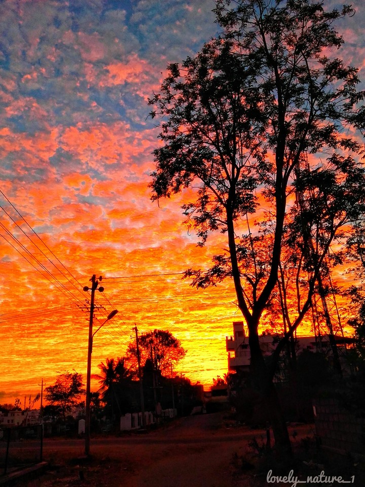 Nature Photography