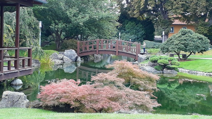 Japanese Garden