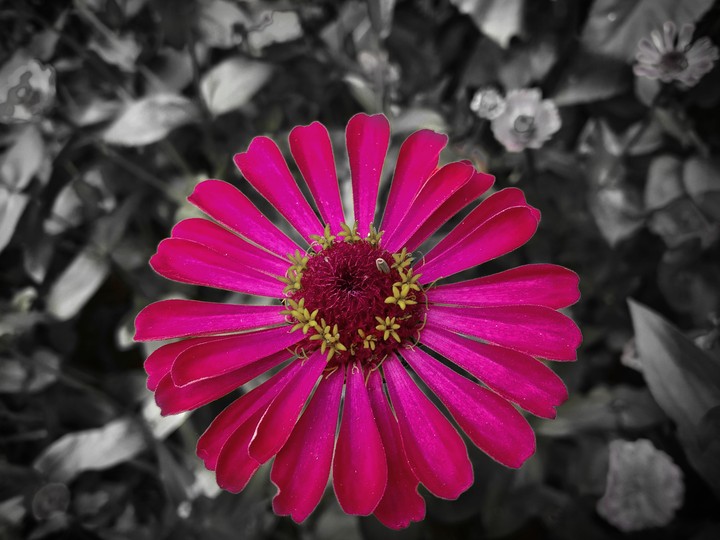 Standing Out