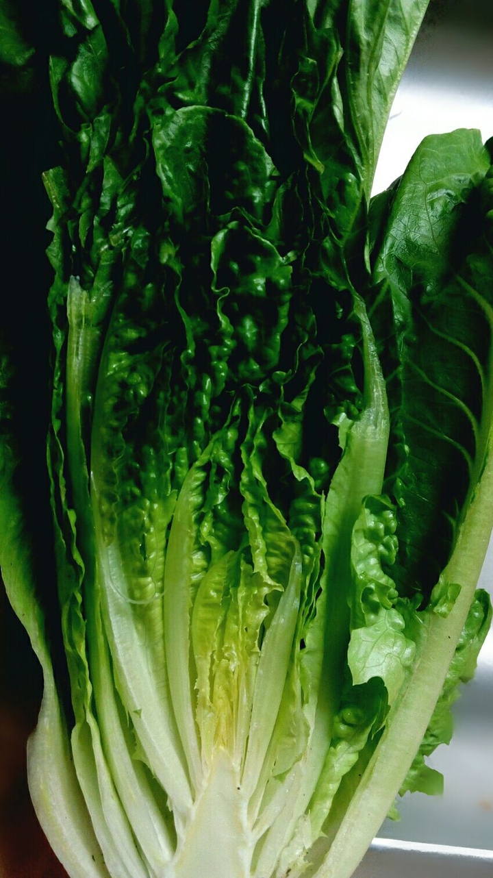 fresh salad
