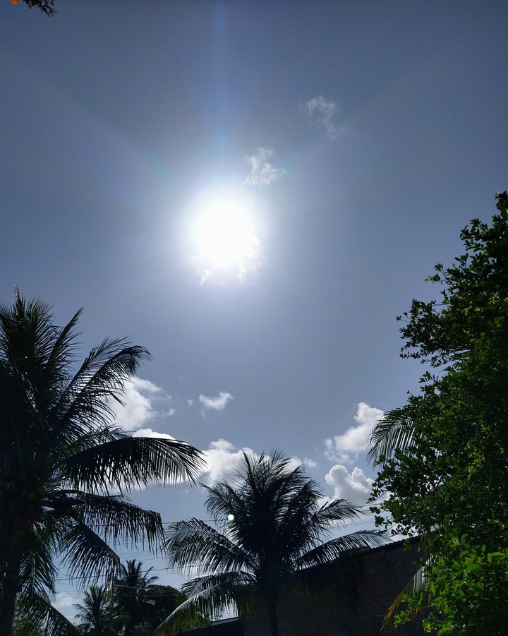 Bom dia.