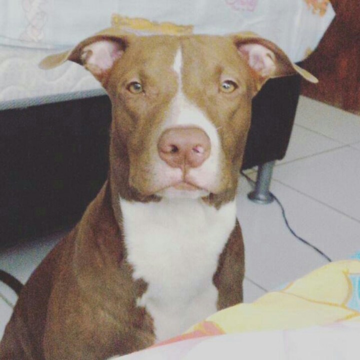 Max