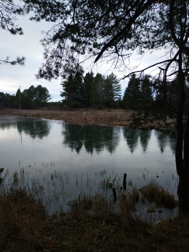 nature