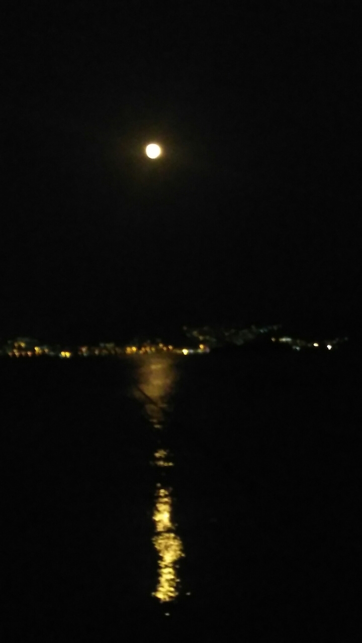 The Moon