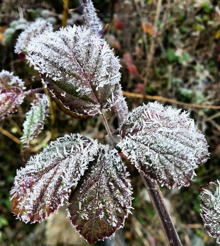 winter is at door