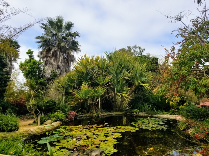Pond