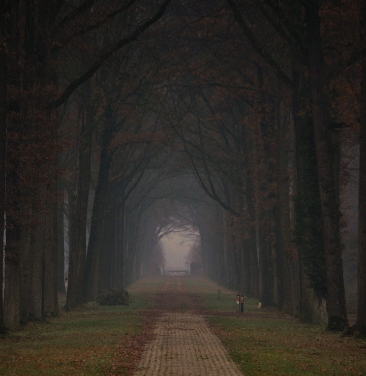Road