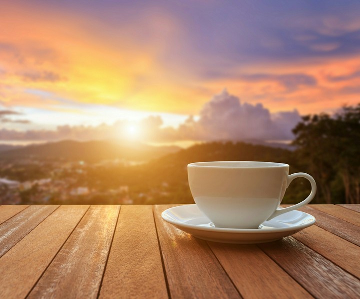 coffee with unexcepted view  ❤❤