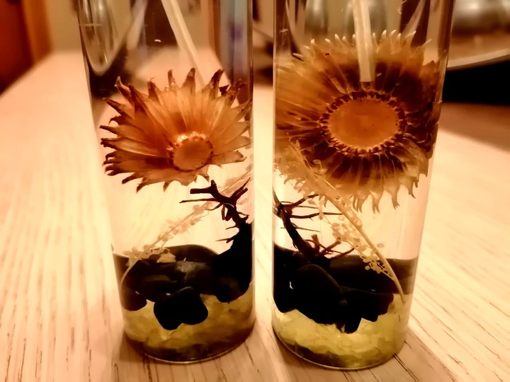 Candles