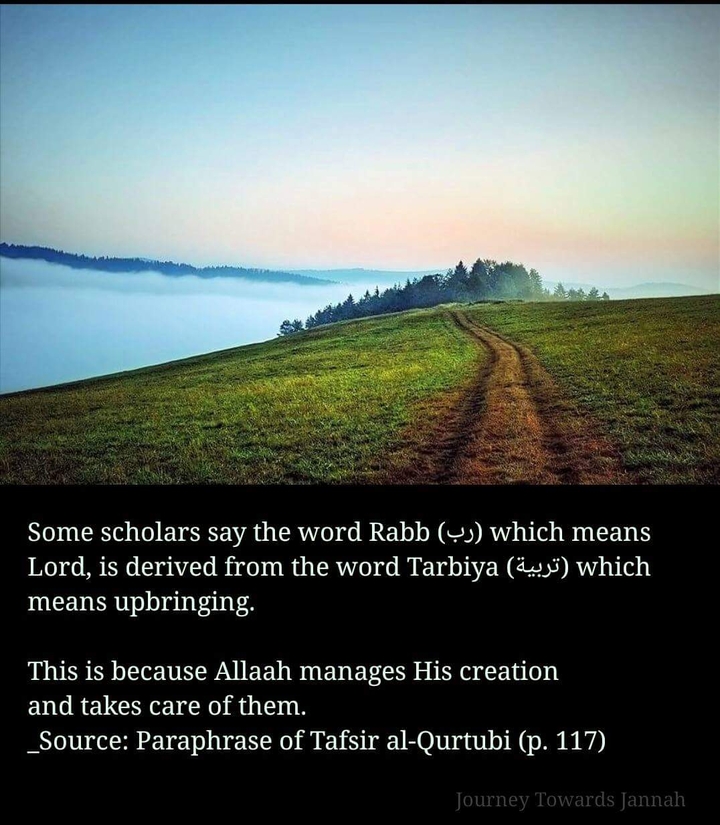 Journey Towards Jannah