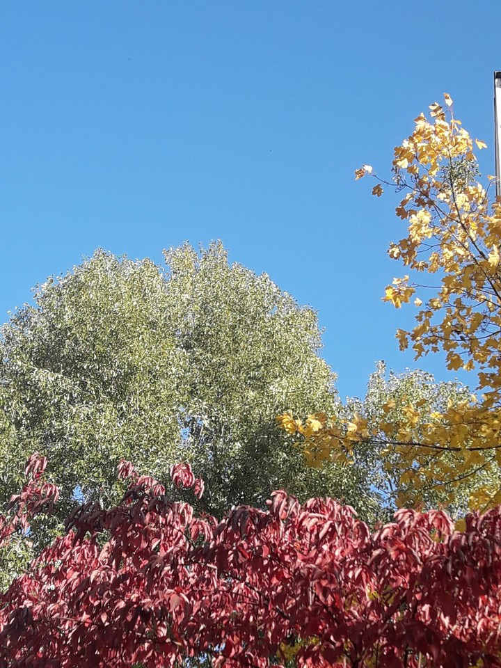 Autumn.Осень.