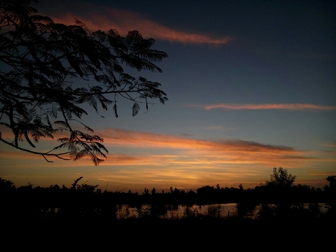 dawn