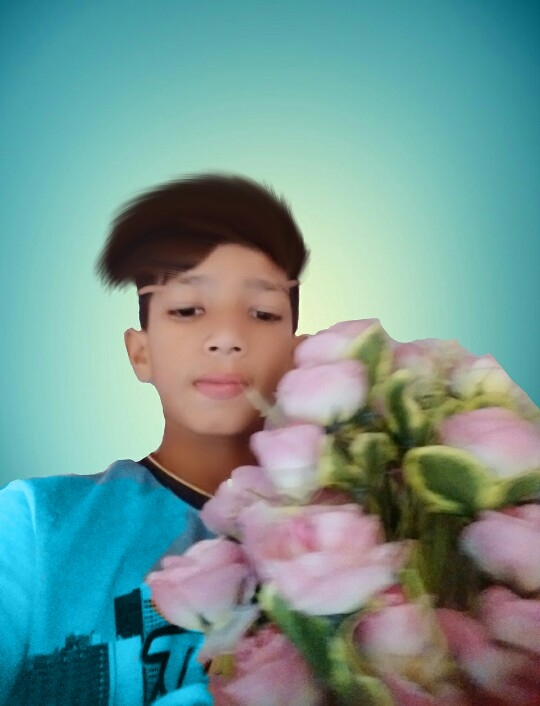avish