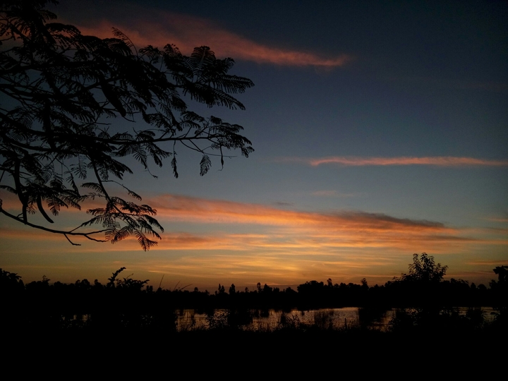 dawn