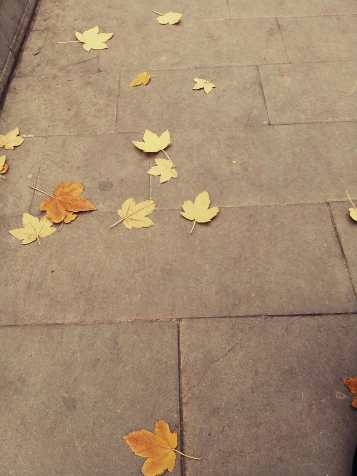 Falling in leaf