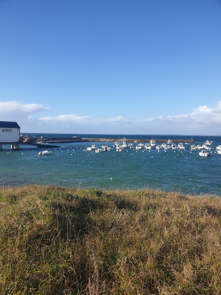 Tregunc boats