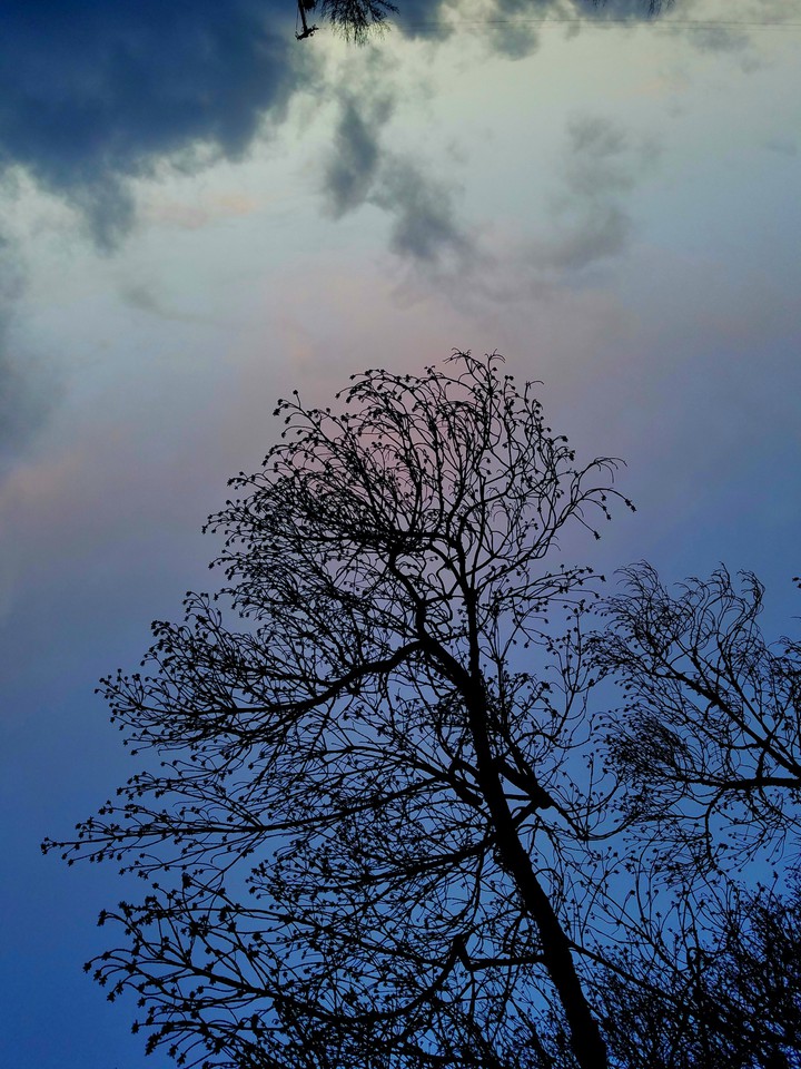 seasons change