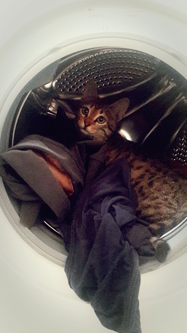 Wonder in the washing machine