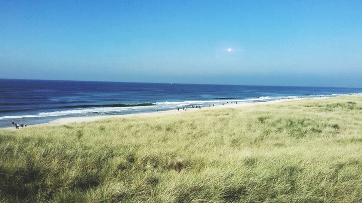 beach