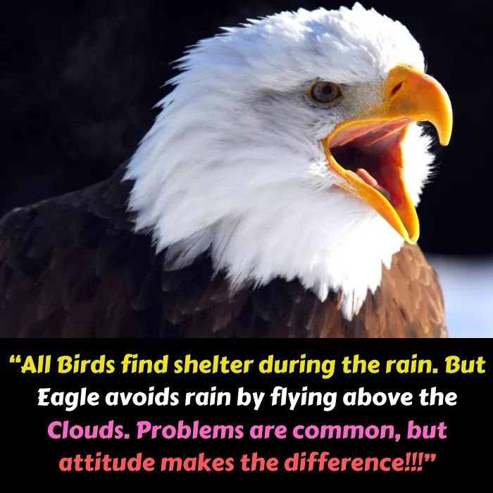 Above all