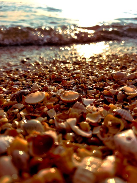 Sea