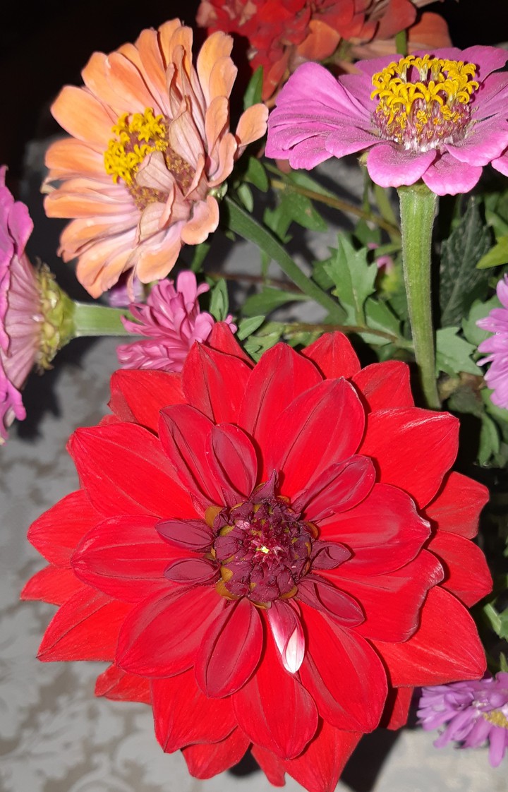 a little bit colours for u