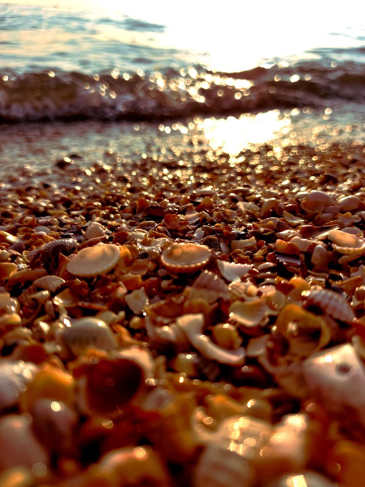 Sea