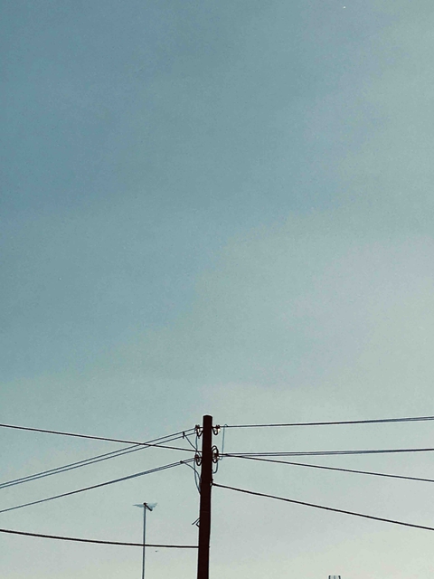 SunnyDay