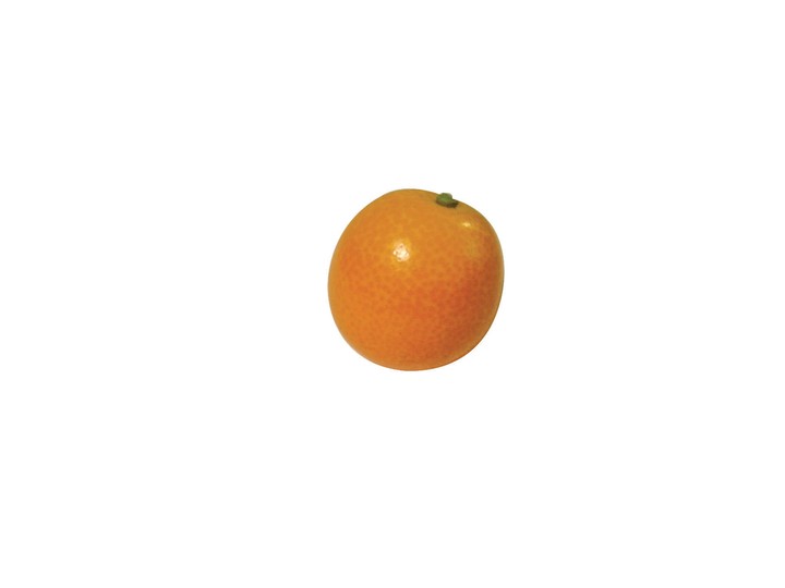 음식이미지