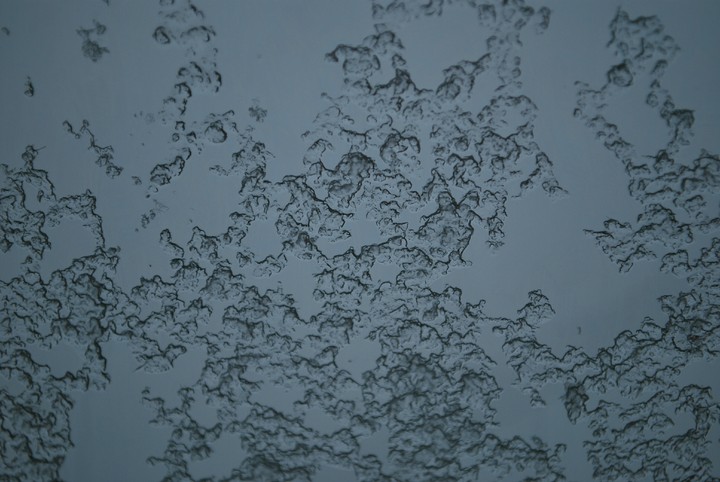 winter