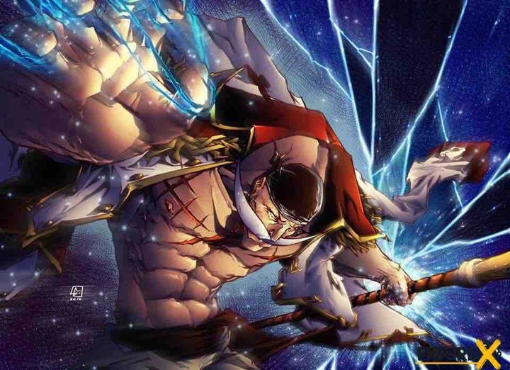 onepiece