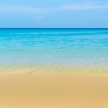 Sea