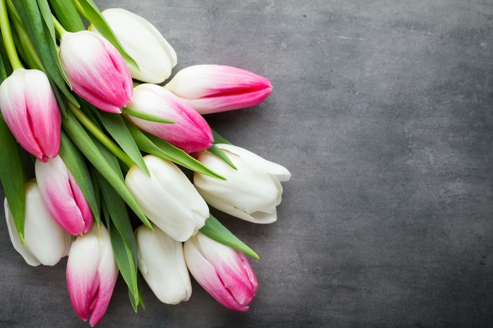 Flovers