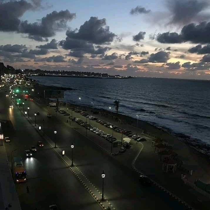 Alexandria ....