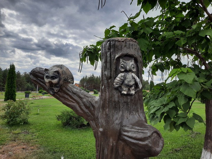 Памятник возле больницы