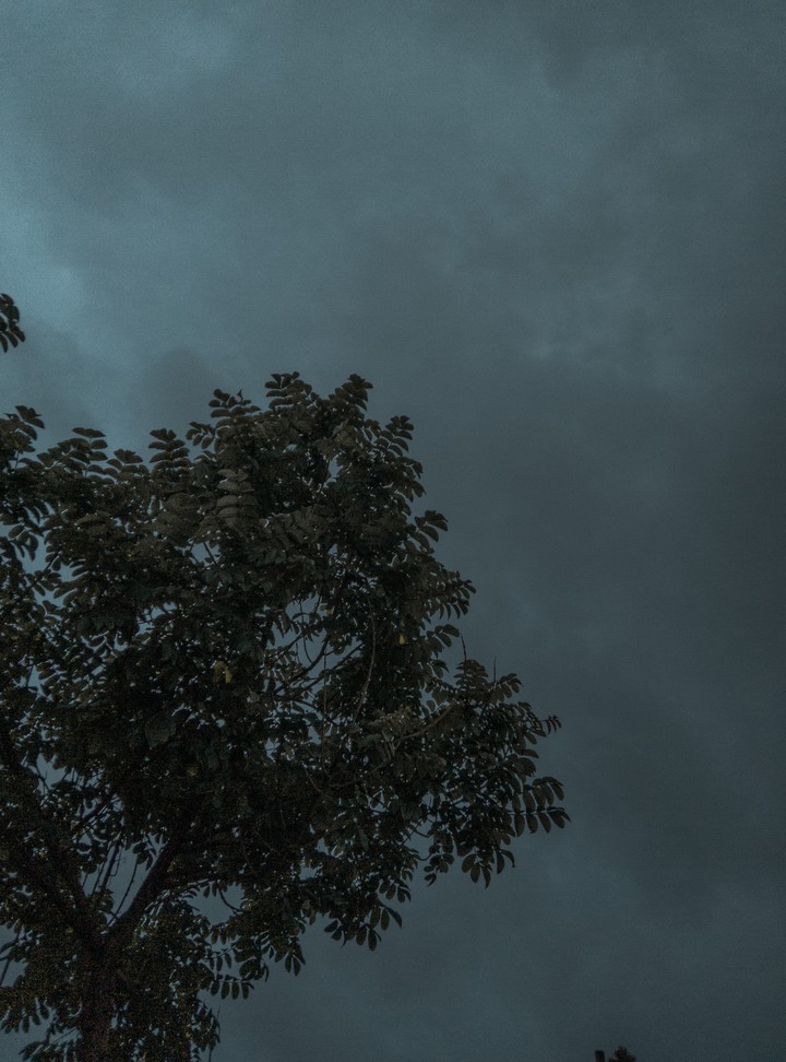 the monsoon season ?