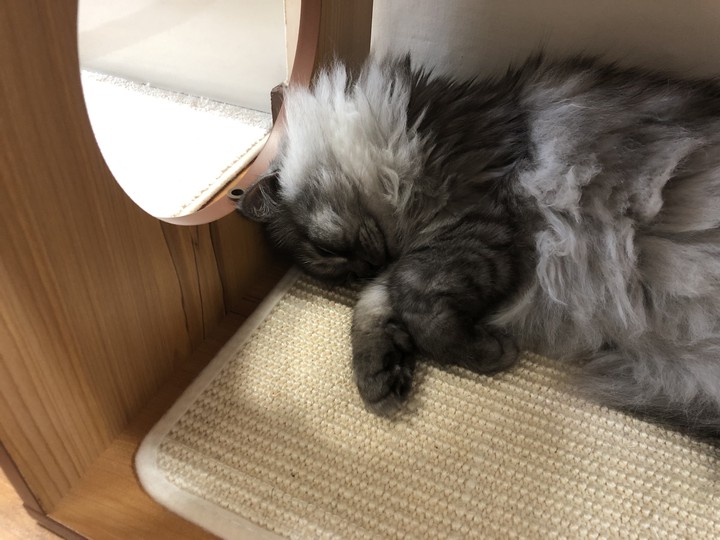 먼지