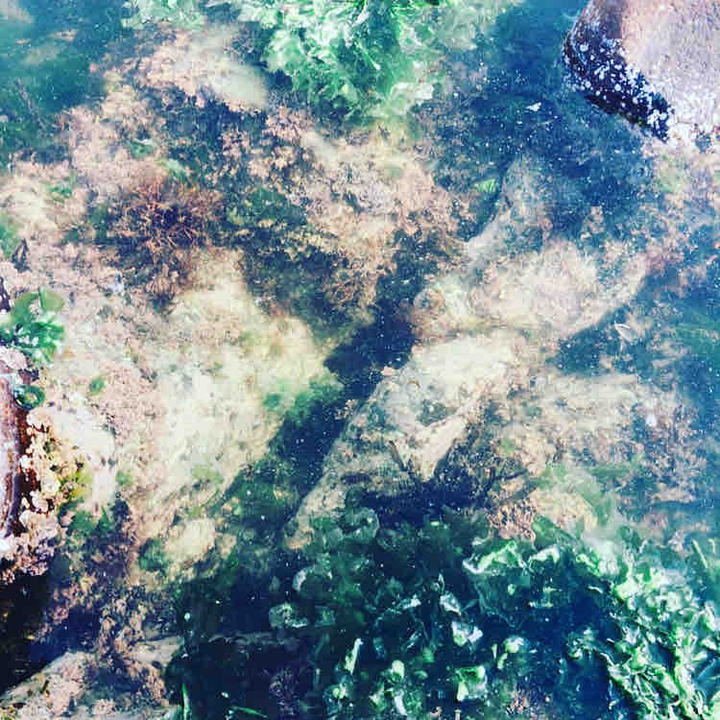 푸른빛 물속이 참 아름답지 않니? Isn't the blue water so beautiful?