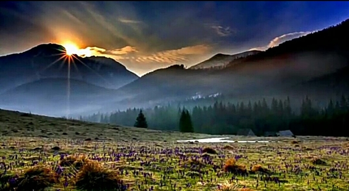 Sun Rise