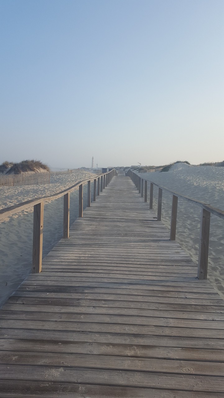 A nice ride in Aveiro