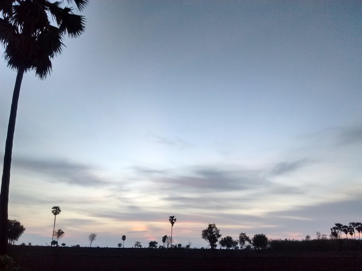 Grey sunset