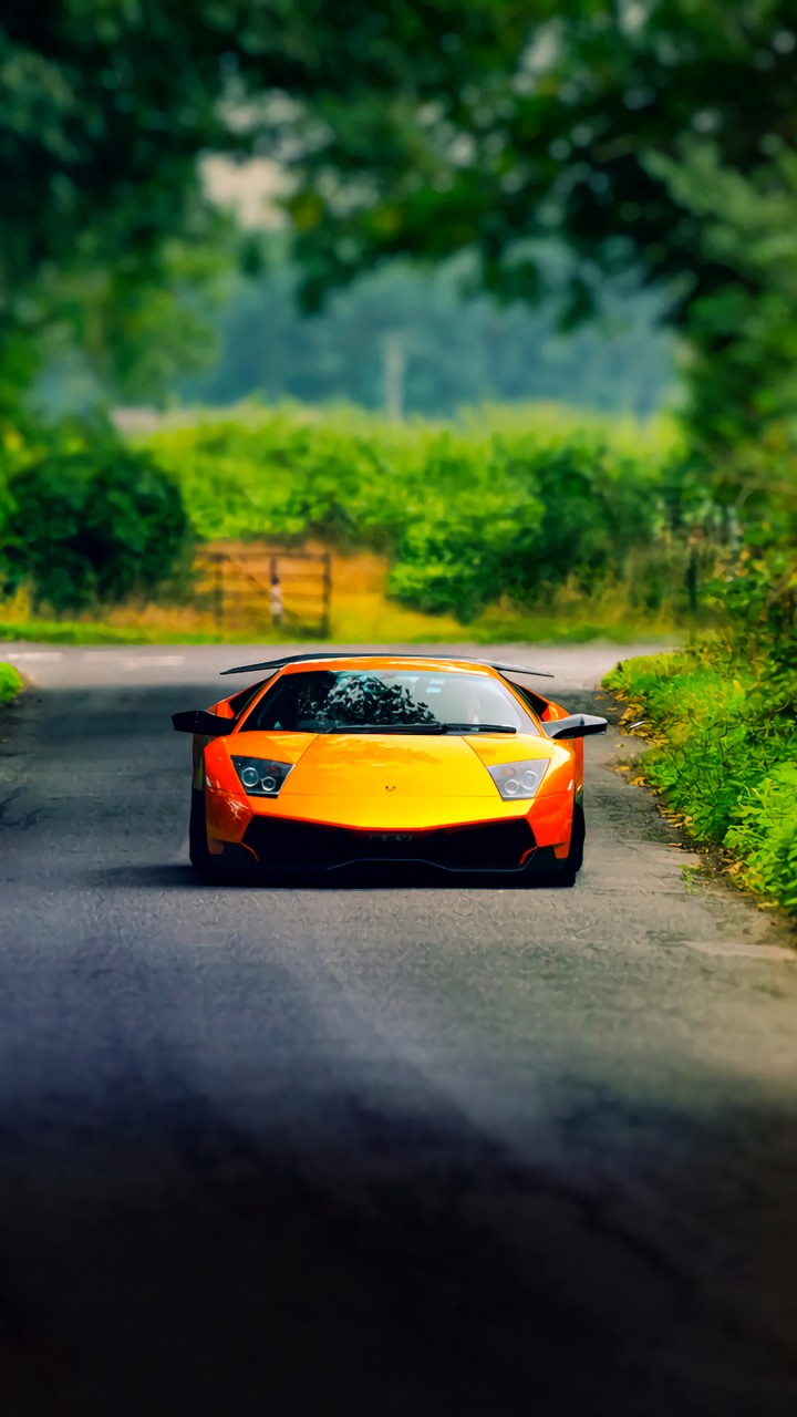 Lamborghini