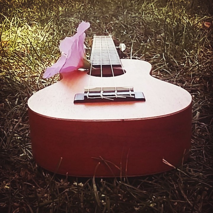 Uke's Flower