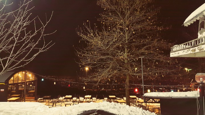 the night