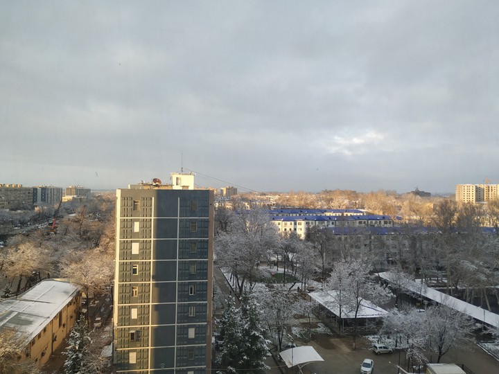 Winter in Tashkent