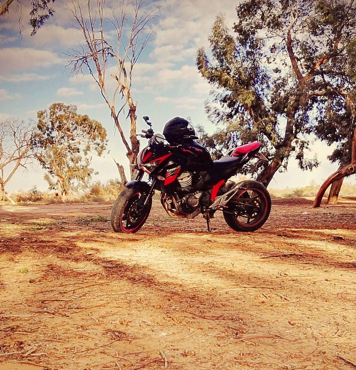 z800
