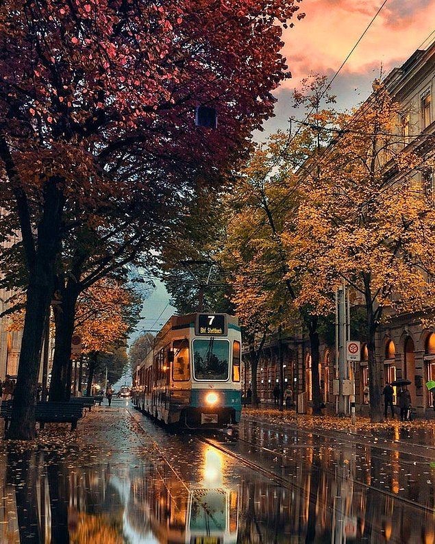 train